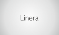 Linera Cam Korkuluk